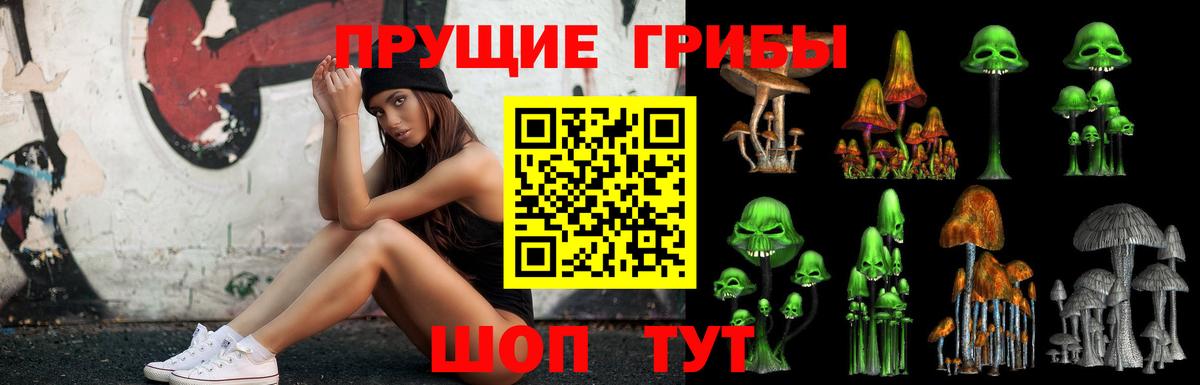 Псилоцибиновые грибы Psilocybe  Вход с VPN  Белово 